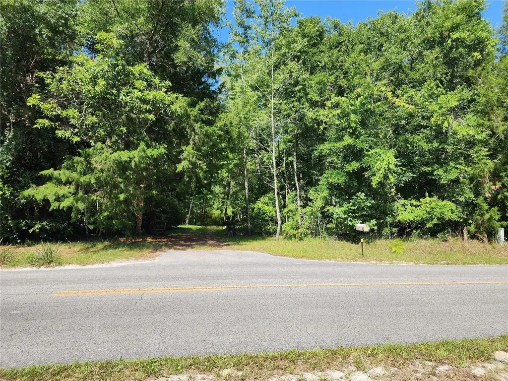 876 SW Newark Drive Fort White FL 32038