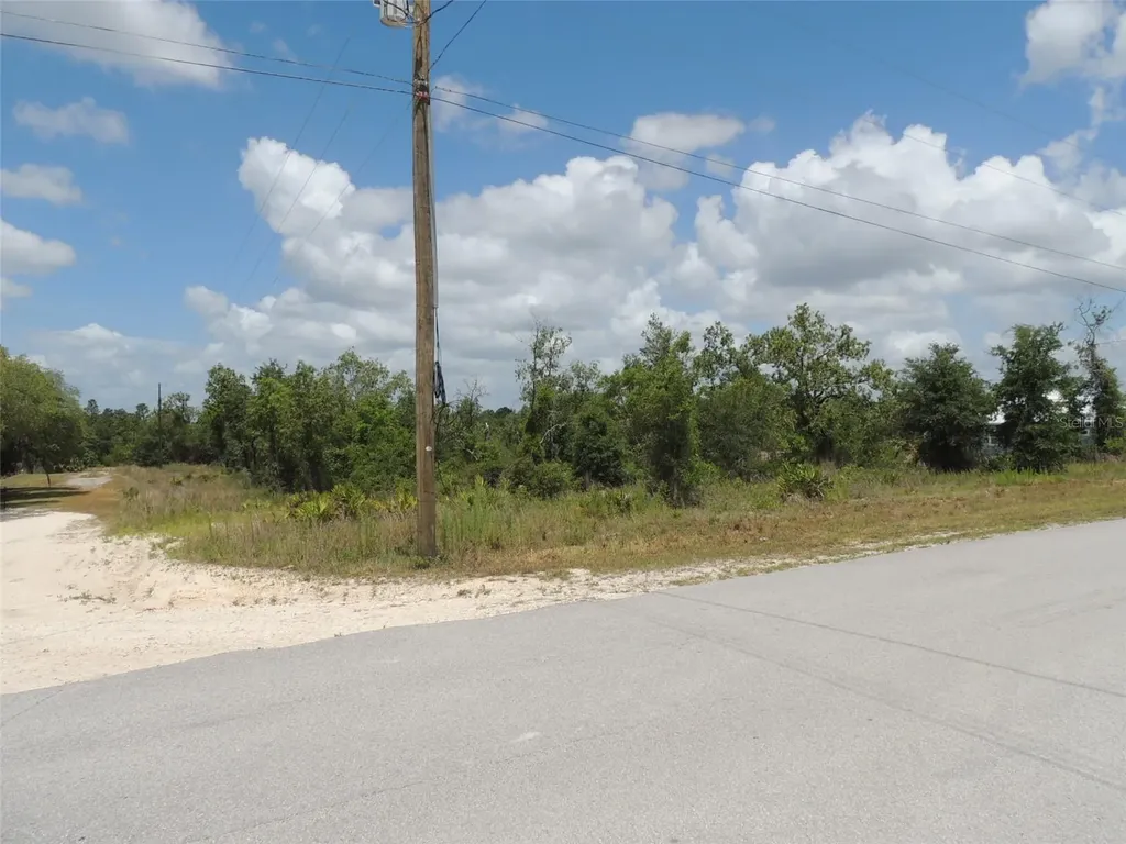 13591 NE 51st Lane Williston FL 32696