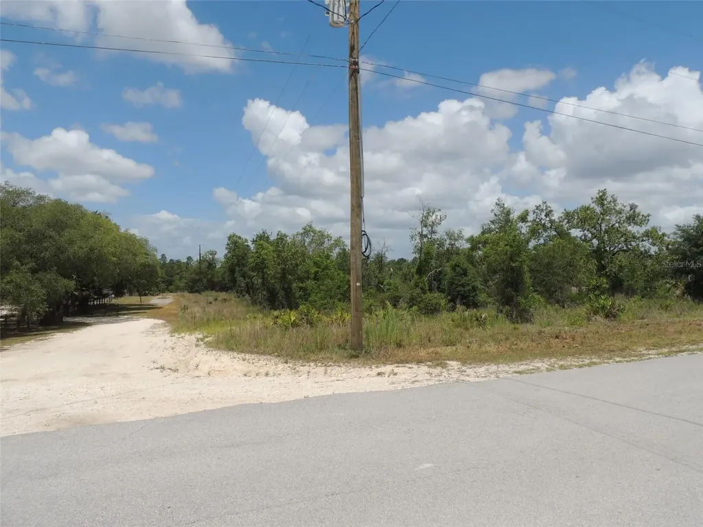 13591 NE 51st Lane Williston FL 32696