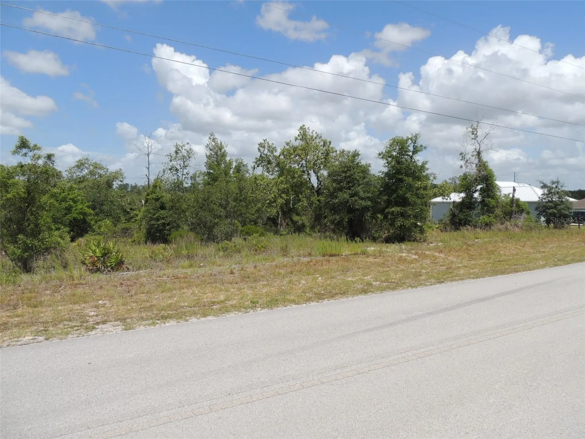13591 NE 51st Lane Williston FL 32696