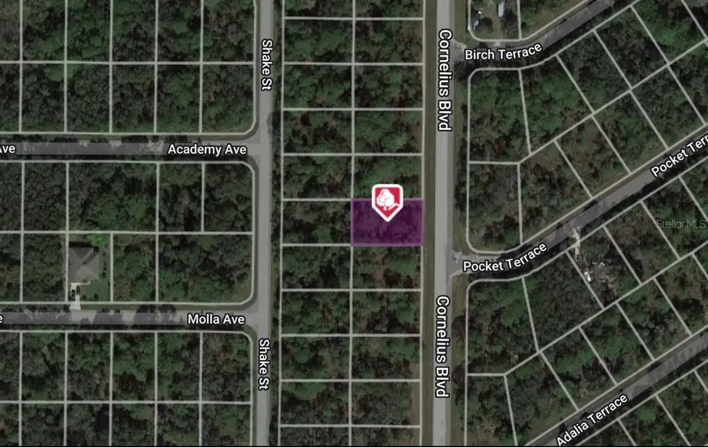 1323 Cornelius Boulevard Port Charlotte FL 33953