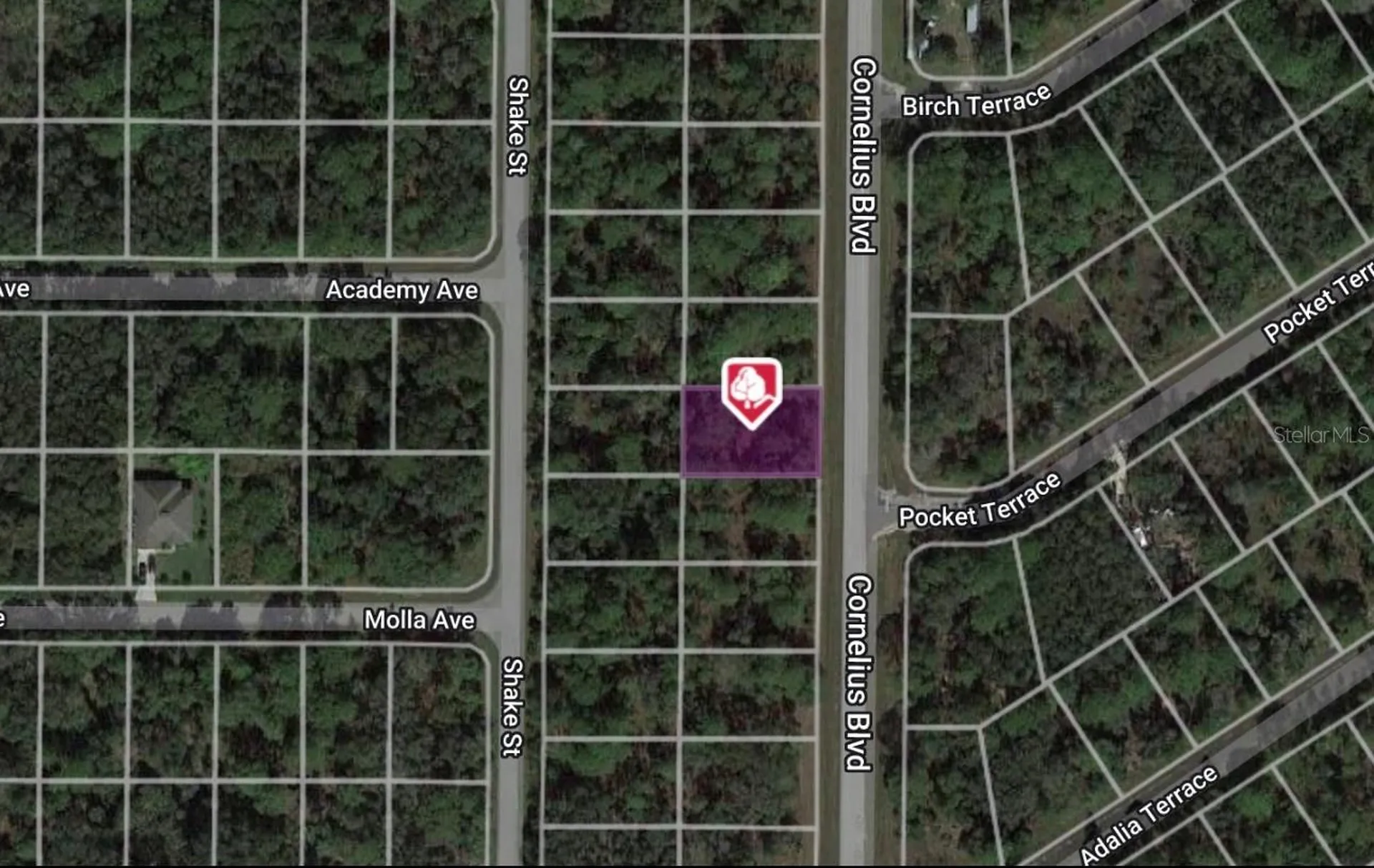 1323 Cornelius Boulevard Port Charlotte FL 33953