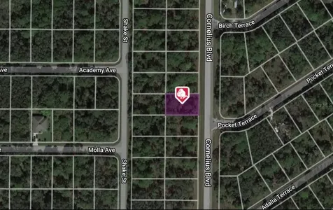 1323 Cornelius Boulevard Port Charlotte FL 33953