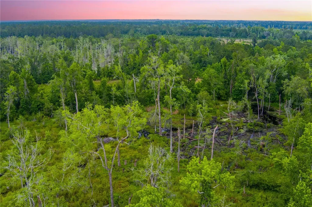 NW Colin Court Lake City FL 32055