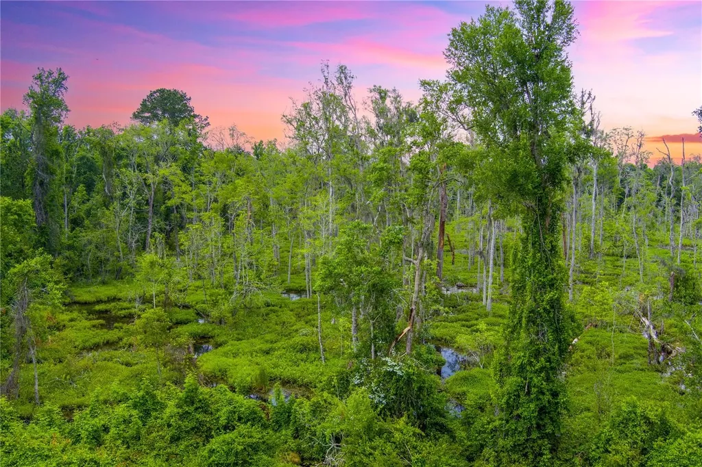 NW Colin Court Lake City FL 32055