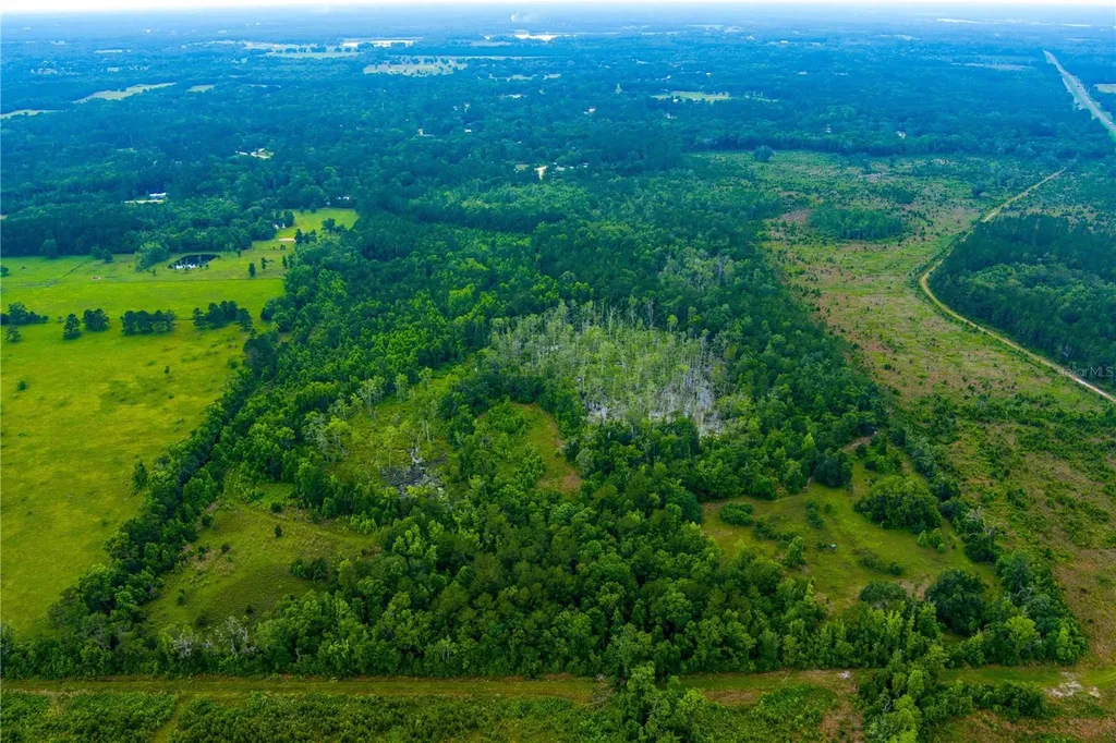 NW Colin Court Lake City FL 32055