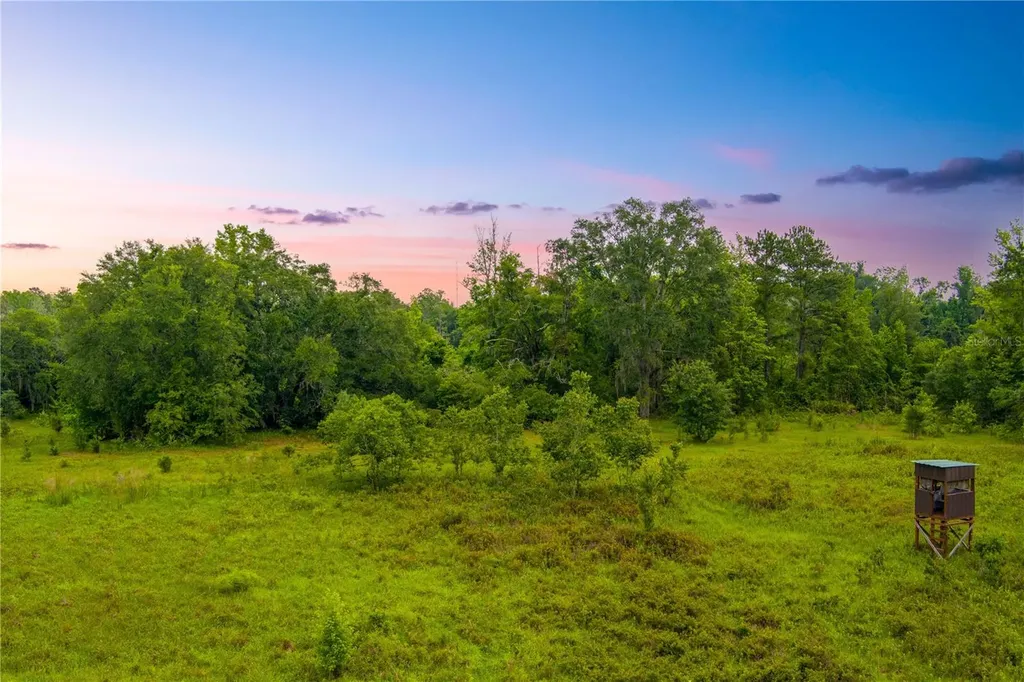 NW Colin Court Lake City FL 32055