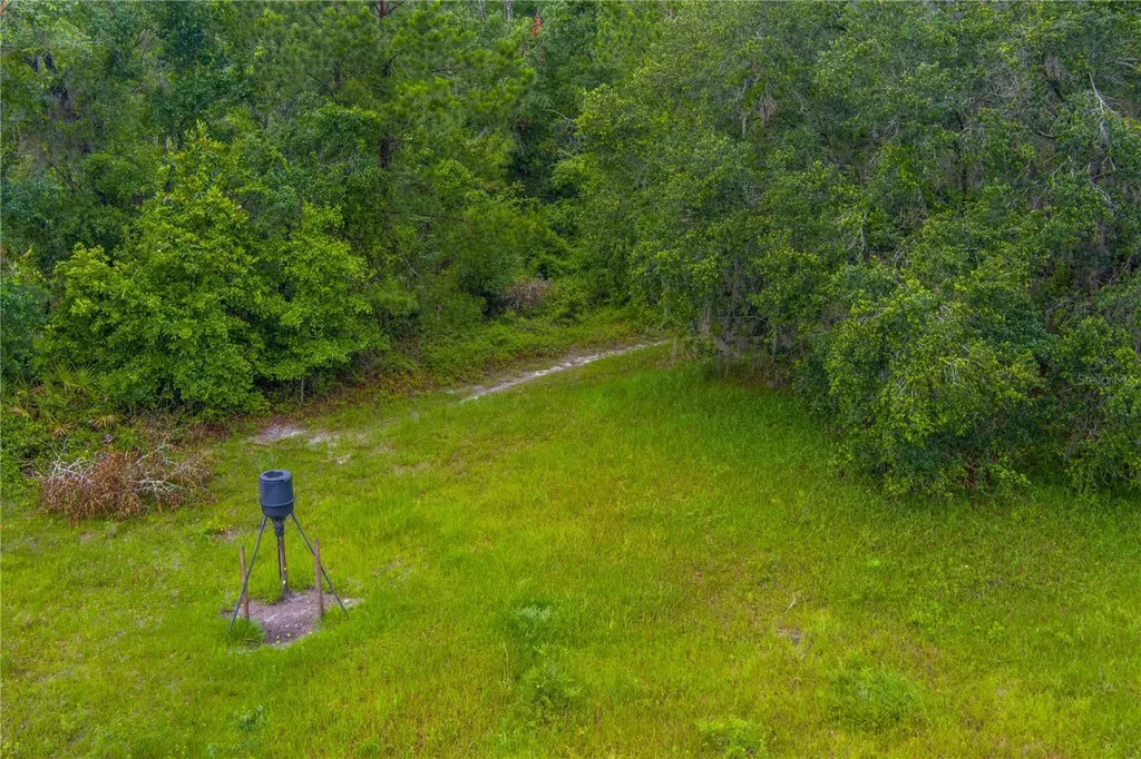 NW Colin Court Lake City FL 32055