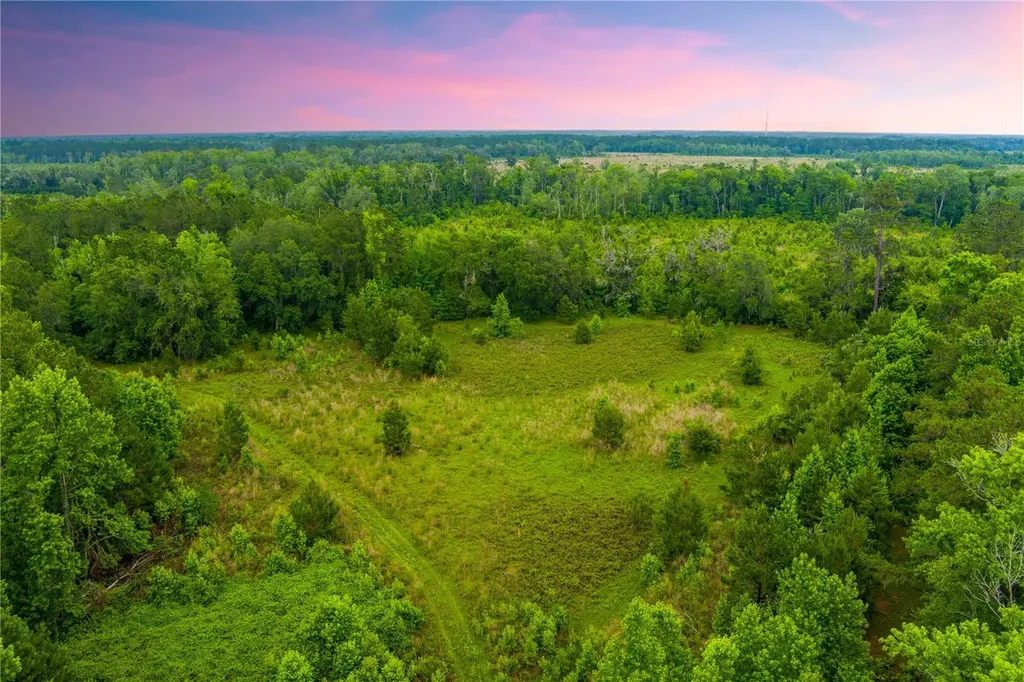 NW Colin Court Lake City FL 32055