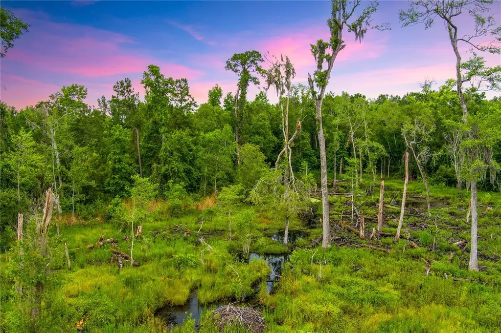 NW Colin Court Lake City FL 32055