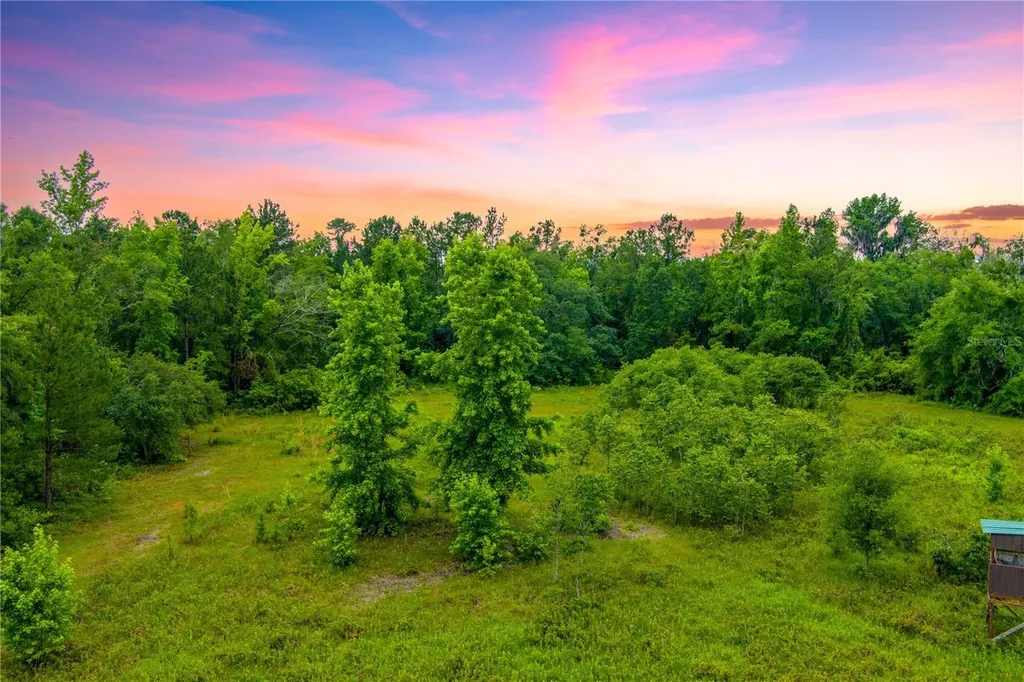 NW Colin Court Lake City FL 32055