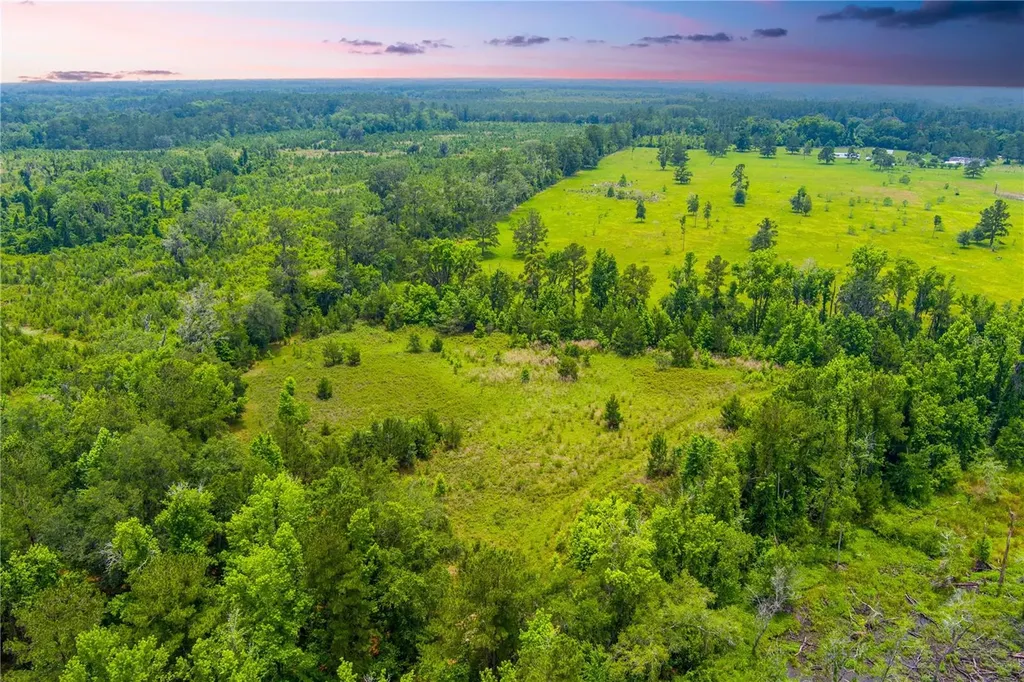 NW Colin Court Lake City FL 32055