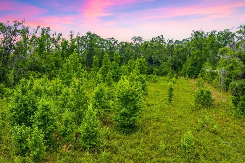 NW Colin Court Lake City FL 32055