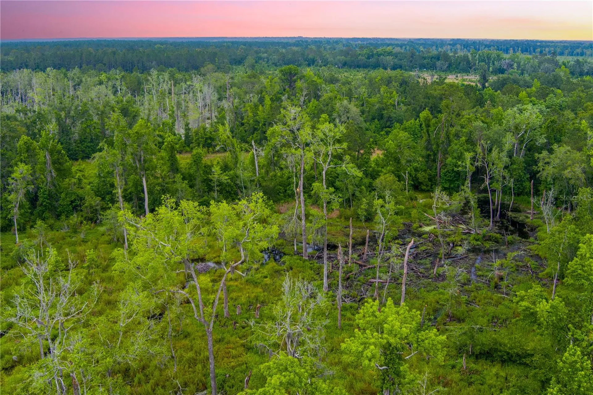 NW Colin Court Lake City FL 32055