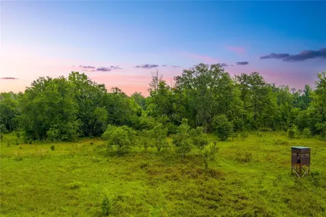 NW Colin Court Lake City FL 32055