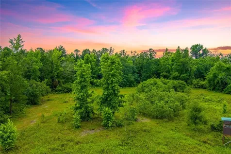 NW Colin Court Lake City FL 32055