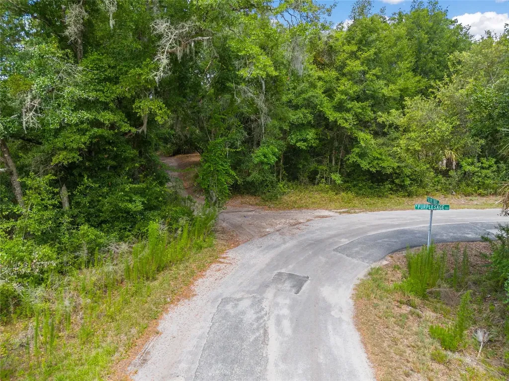 12180 W Olive Tree Lane Crystal River FL 34428