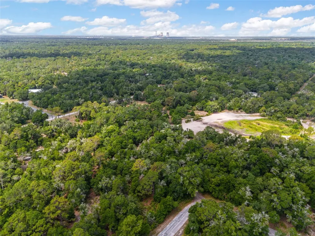 12180 W Olive Tree Lane Crystal River FL 34428