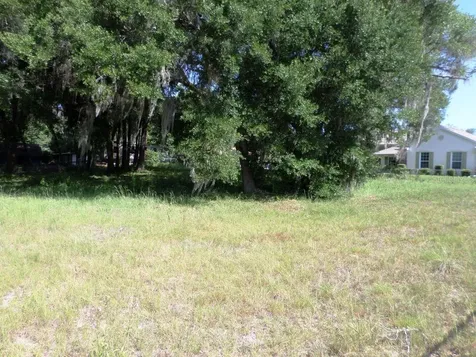 000 Blue Heron Court Dunnellon FL 34432