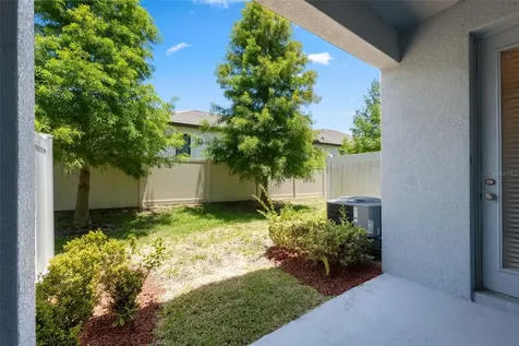 6885 Citrus Creek Lane Tampa FL 33625