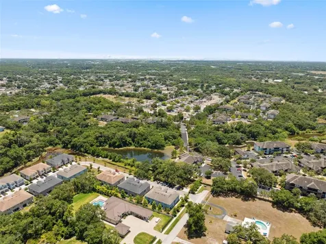 6885 Citrus Creek Lane Tampa FL 33625