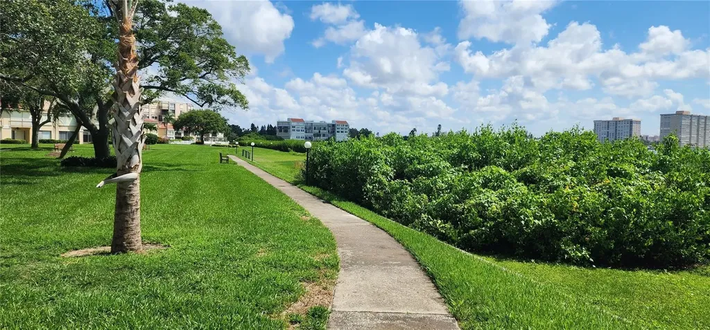 6219 Palma Del Mar Boulevard S St Petersburg FL 33715