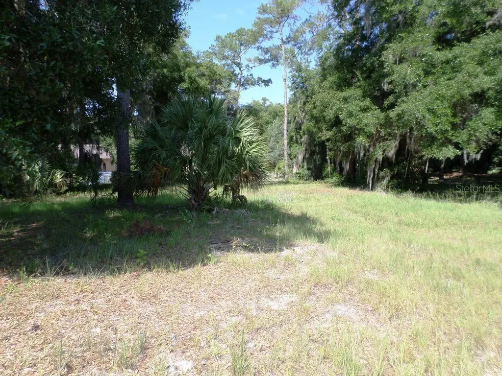 00 Blue Heron Court Dunnellon FL 34432