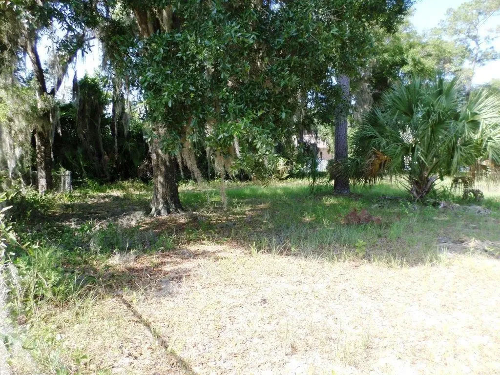 00 Blue Heron Court Dunnellon FL 34432