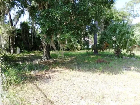 00 Blue Heron Court Dunnellon FL 34432