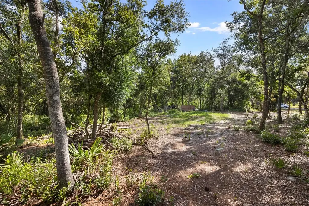 Doyle Road Deltona FL 32738