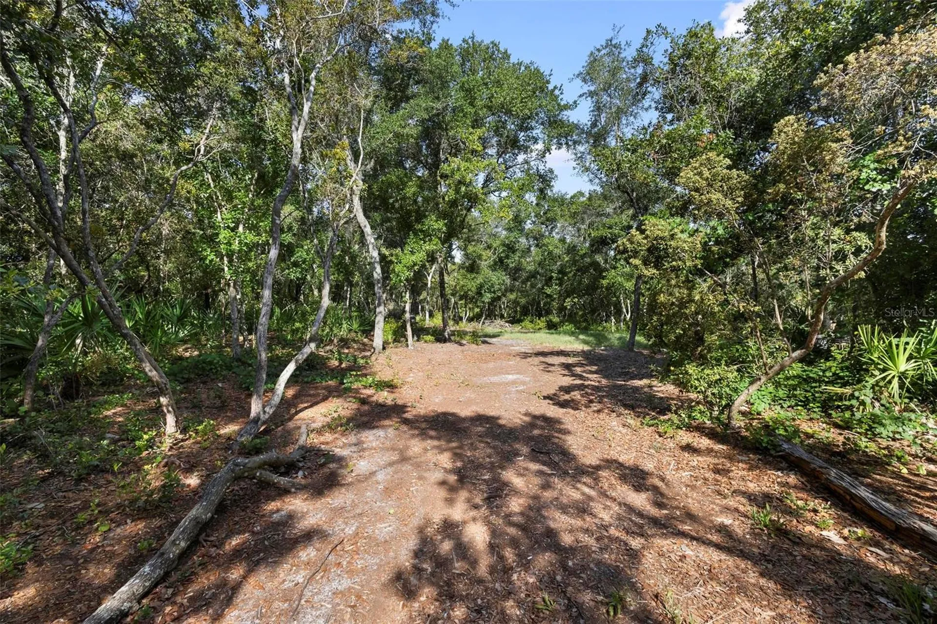 Doyle Road Deltona FL 32738