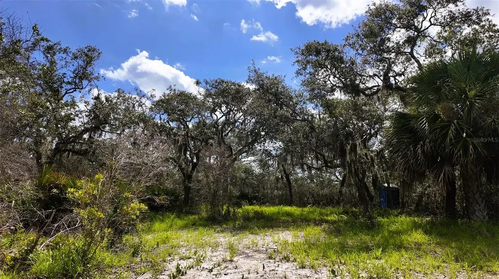 00000 Clark Island Cedar Key FL 32625