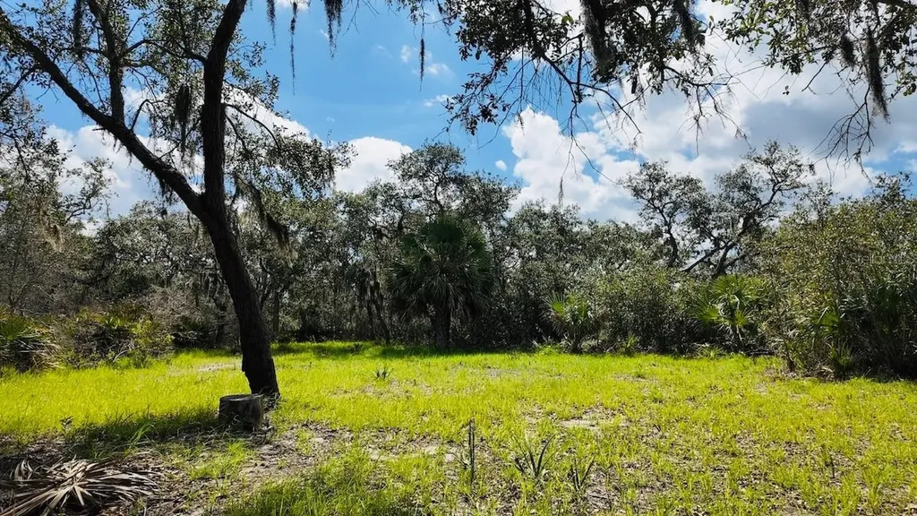 00000 Clark Island Cedar Key FL 32625