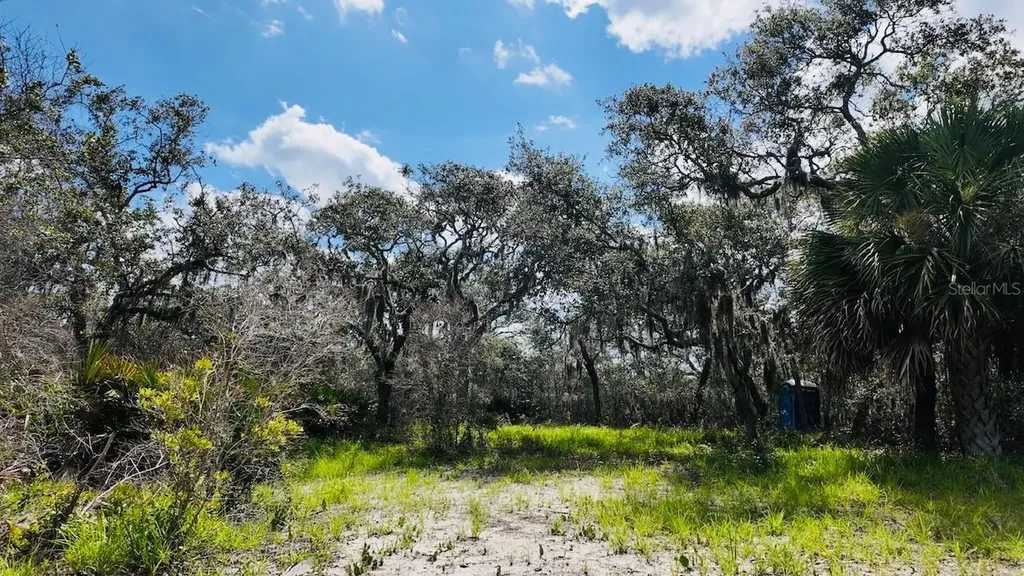 00000 Clark Island Cedar Key FL 32625