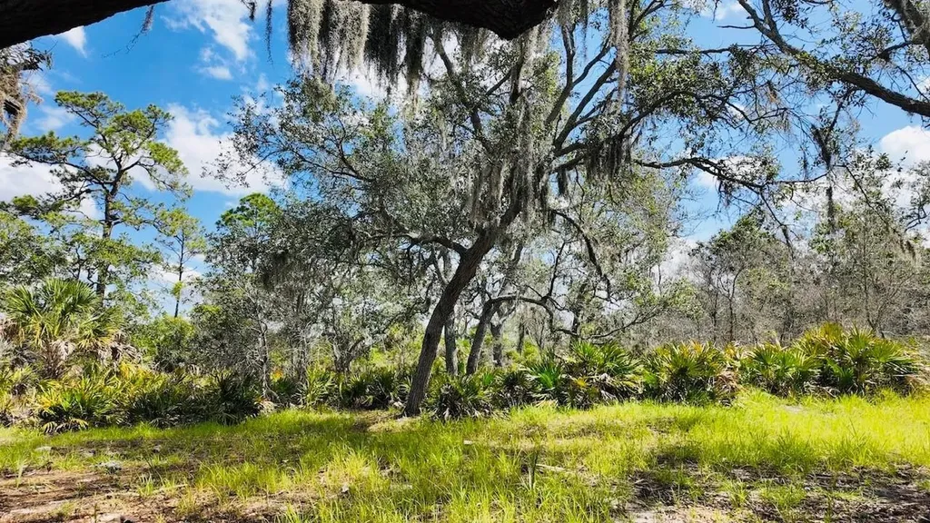 00000 Clark Island Cedar Key FL 32625