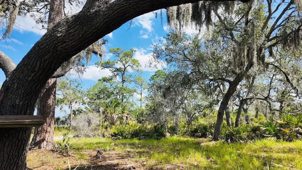 00000 Clark Island Cedar Key FL 32625