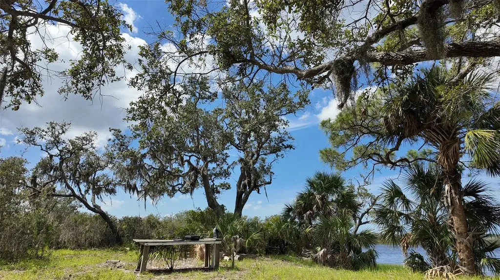 00000 Clark Island Cedar Key FL 32625