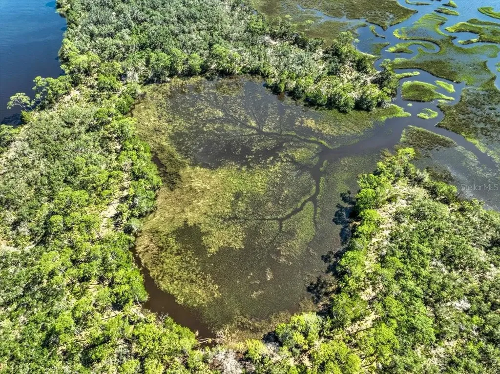 00000 Clark Island Cedar Key FL 32625