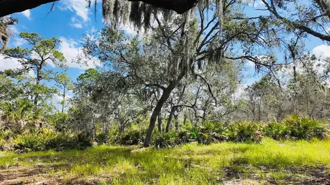 00000 Clark Island Cedar Key FL 32625