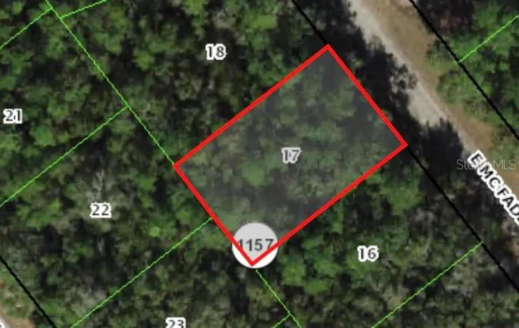 127 E Mcfaddin Place Dunnellon FL 34434