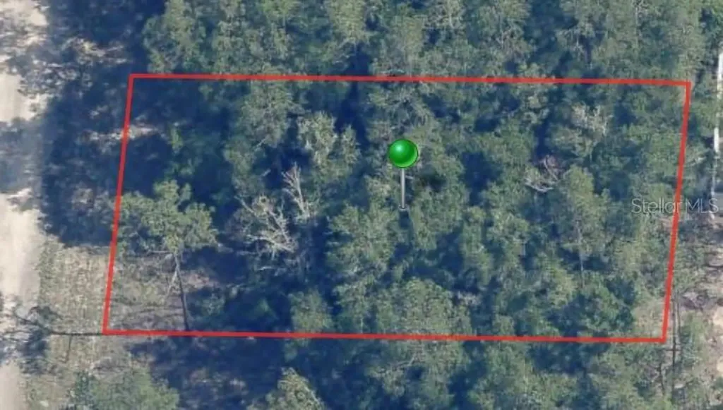 9861 N Baldwin Terrace Dunnellon FL 34434