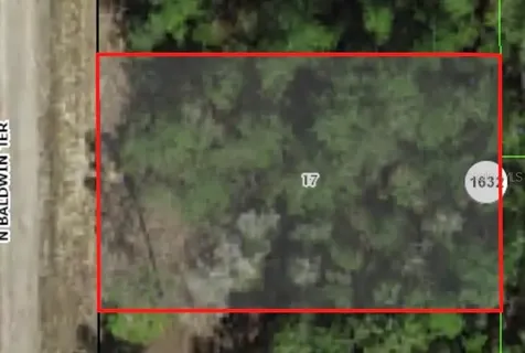 9861 N Baldwin Terrace Dunnellon FL 34434