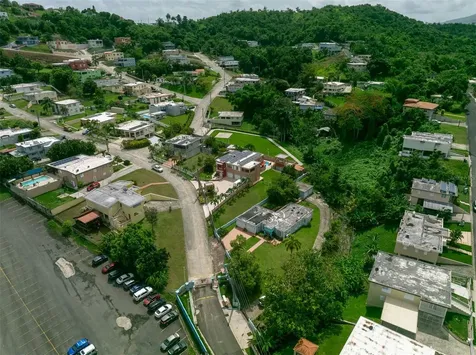 17 Calle Laderas Cayey PR 00736