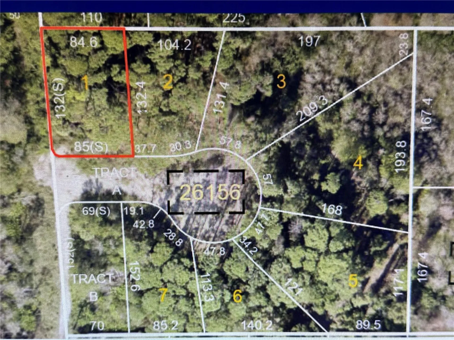 1289 Almaria Court Palm Harbor FL 34683