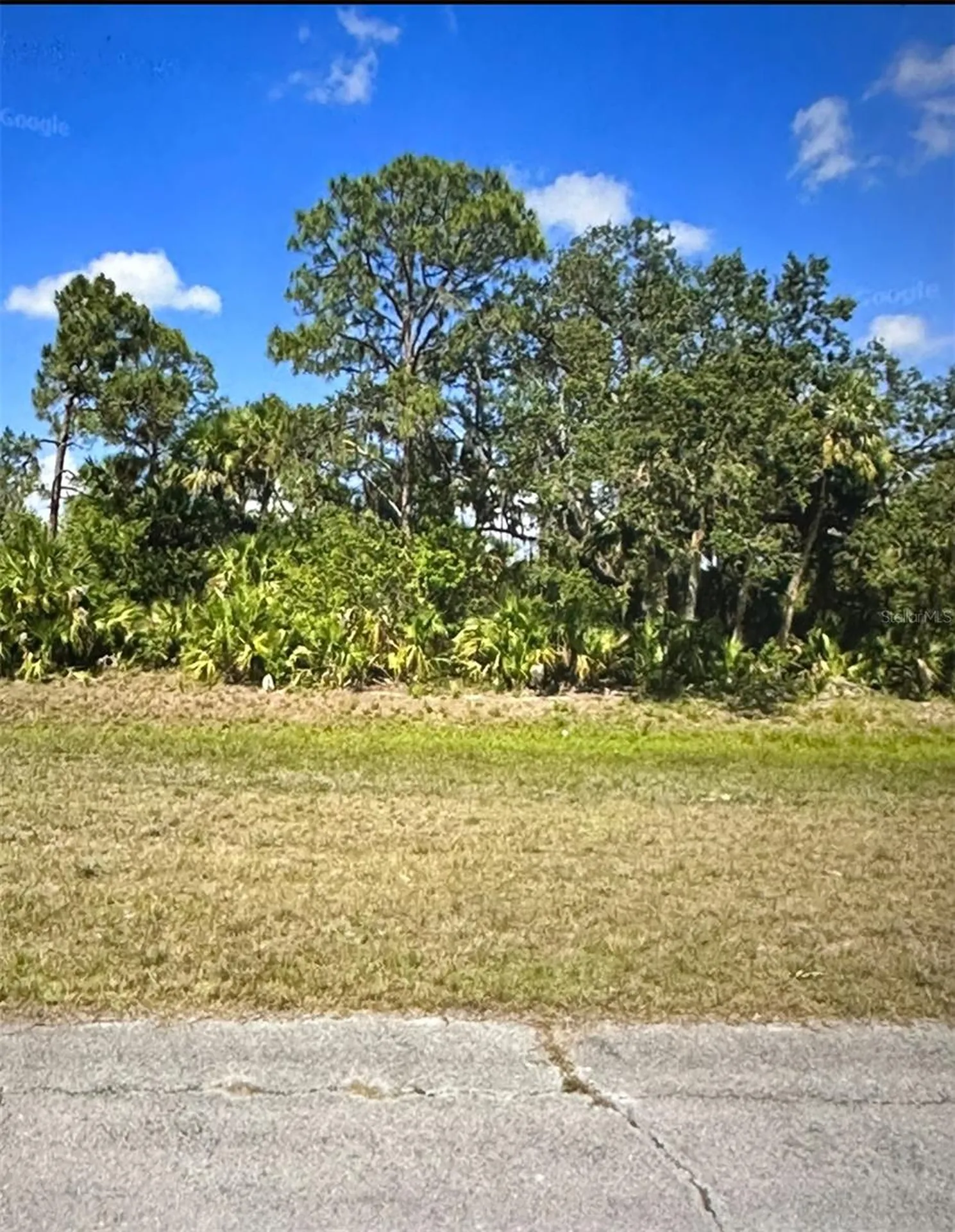 102 Dutch Loop Labelle FL 33935