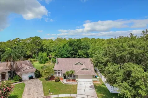 3946 Peace Pipe Drive Orlando FL 32829