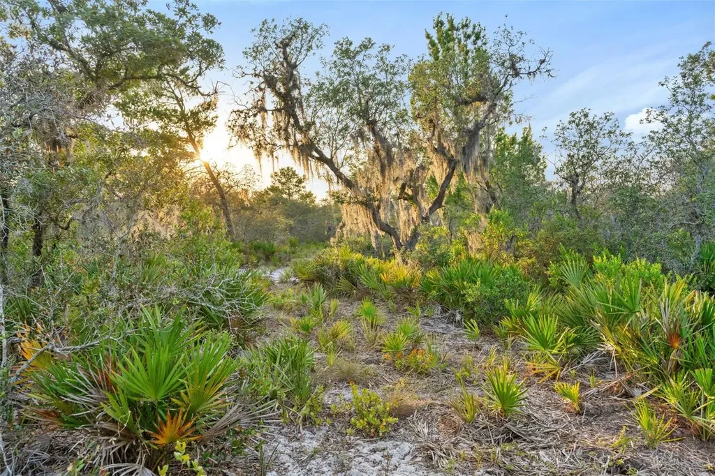 1980 Lake Buffum Road E Fort Meade FL 33841