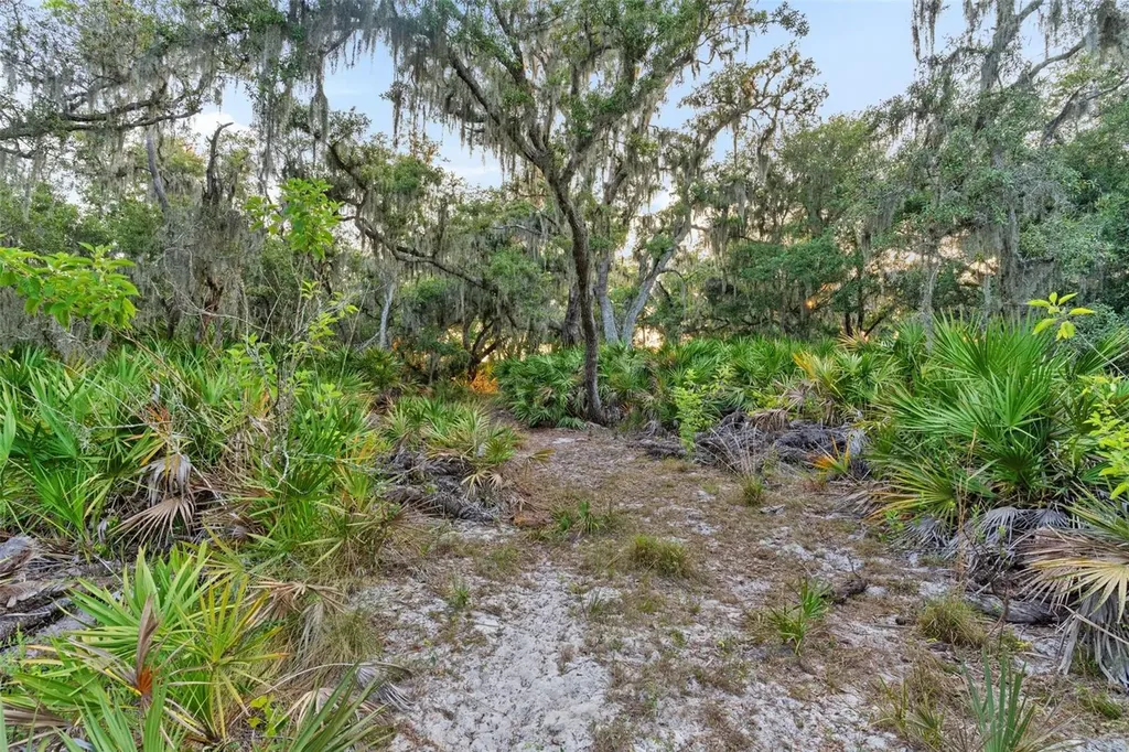 1980 Lake Buffum Road E Fort Meade FL 33841