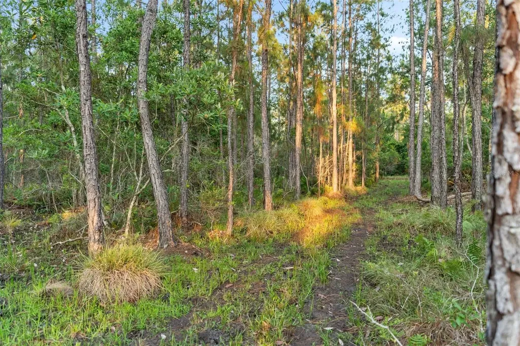 1980 Lake Buffum Road E Fort Meade FL 33841