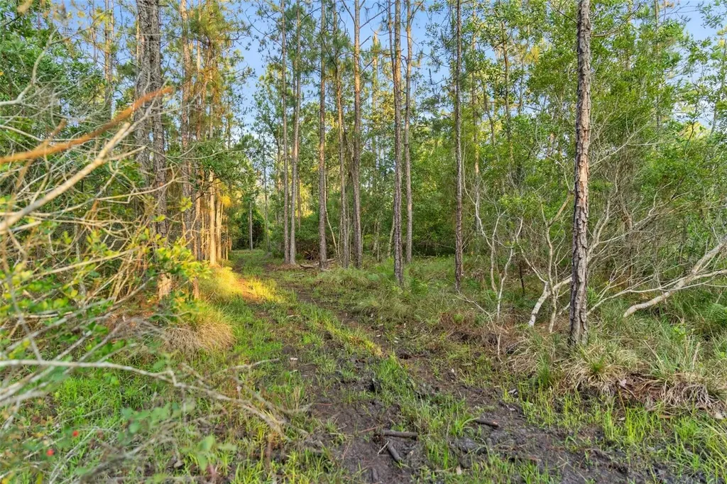 1980 Lake Buffum Road E Fort Meade FL 33841
